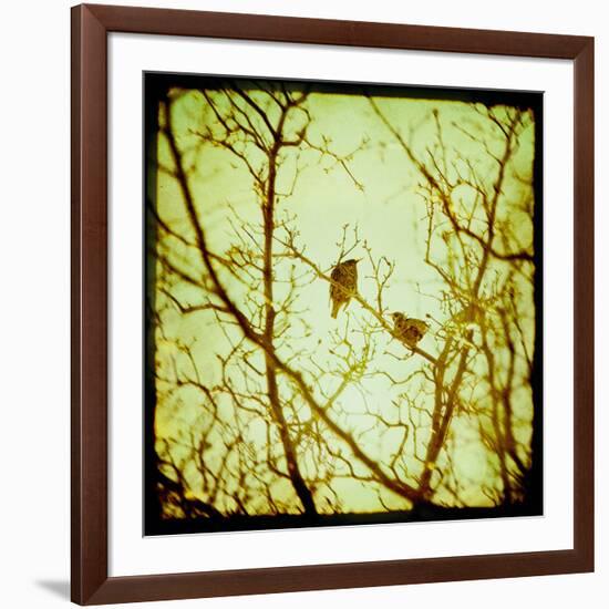 Autumn Alchemy II-Irene Suchocki-Framed Giclee Print