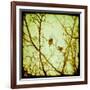 Autumn Alchemy II-Irene Suchocki-Framed Giclee Print