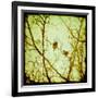 Autumn Alchemy II-Irene Suchocki-Framed Giclee Print