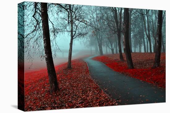 Autumn Alley in the Fog - Gothic Autumn Landscape in Cloudy Weather with Bare Red Trees along Alley-null-Stretched Canvas