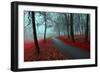 Autumn Alley in the Fog - Gothic Autumn Landscape in Cloudy Weather with Bare Red Trees along Alley-null-Framed Photographic Print