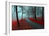 Autumn Alley in the Fog - Gothic Autumn Landscape in Cloudy Weather with Bare Red Trees along Alley-null-Framed Photographic Print