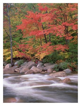 https://imgc.allpostersimages.com/img/posters/autumn-along-swift-river-white-mountains-national-forest-new-hampshire_u-L-F7I9TL0.jpg?artPerspective=n