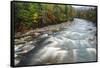 Autumn Along the Pemigewasset River, White Mountain NF, New Hampshire-Jerry & Marcy Monkman-Framed Stretched Canvas
