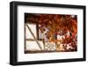 Autumn Alsatian-Philippe Sainte-Laudy-Framed Photographic Print