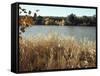 Autumn, Ana, on the River Euphrates, Iraq, Middle East-null-Framed Stretched Canvas