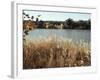 Autumn, Ana, on the River Euphrates, Iraq, Middle East-null-Framed Photographic Print