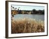 Autumn, Ana, on the River Euphrates, Iraq, Middle East-null-Framed Photographic Print