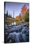 Autumn and Bishop Creek Flow, Eastern Sierras, Bishop California-Vincent James-Stretched Canvas