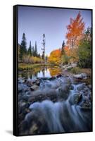 Autumn and Bishop Creek Flow, Eastern Sierras, Bishop California-Vincent James-Framed Stretched Canvas