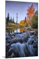 Autumn and Bishop Creek Flow, Eastern Sierras, Bishop California-Vincent James-Mounted Premium Photographic Print
