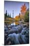 Autumn and Bishop Creek Flow, Eastern Sierras, Bishop California-Vincent James-Mounted Premium Photographic Print