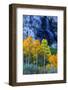 Autumn and Fall Color Waterfall Bishop Creek Canyon Eastern Sierras California-Vincent James-Framed Photographic Print