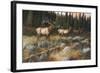 Autumn and on the Move-Trevor V. Swanson-Framed Giclee Print