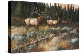 Autumn and on the Move-Trevor V. Swanson-Stretched Canvas