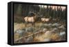 Autumn and on the Move-Trevor V. Swanson-Framed Stretched Canvas