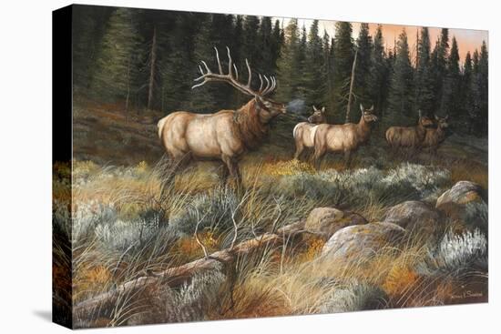 Autumn and on the Move-Trevor V. Swanson-Stretched Canvas