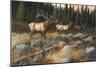 Autumn and on the Move-Trevor V. Swanson-Mounted Giclee Print