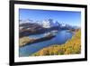 Autumn Approaching at Lake Sils Near St.Moritz in Engadine-Roberto Moiola-Framed Photographic Print