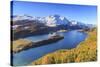 Autumn Approaching at Lake Sils Near St.Moritz in Engadine-Roberto Moiola-Stretched Canvas