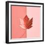 Autumn Arrives-Indigo Photo Club-Framed Photographic Print