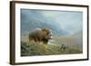 Autumn Ascent Grizzly-Michael Budden-Framed Giclee Print