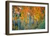 Autumn Aspen Design, Bishop Creek Canyon, Eastern Sierras-Vincent James-Framed Photographic Print