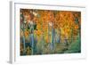 Autumn Aspen Design, Bishop Creek Canyon, Eastern Sierras-Vincent James-Framed Photographic Print