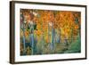 Autumn Aspen Design, Bishop Creek Canyon, Eastern Sierras-Vincent James-Framed Photographic Print