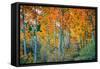 Autumn Aspen Design, Bishop Creek Canyon, Eastern Sierras-Vincent James-Framed Stretched Canvas