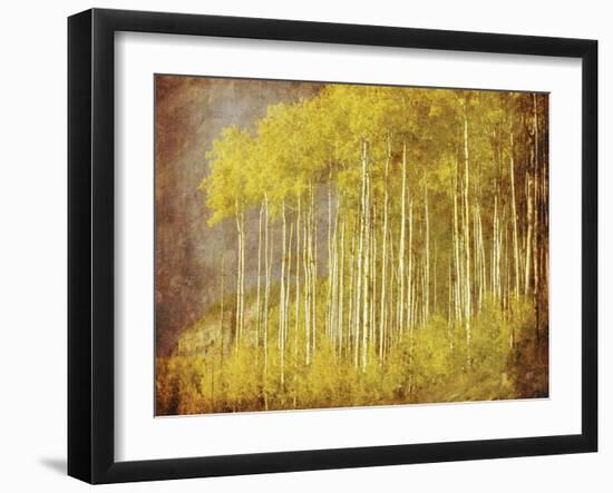 Autumn Aspen Forest-null-Framed Art Print