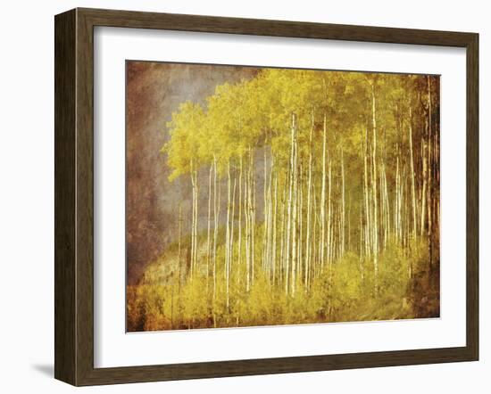 Autumn Aspen Forest-null-Framed Art Print