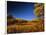 Autumn Aspen Grove in Two Dog Flats in Glacier National Park, Montana, USA-Chuck Haney-Framed Photographic Print