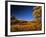 Autumn Aspen Grove in Two Dog Flats in Glacier National Park, Montana, USA-Chuck Haney-Framed Photographic Print