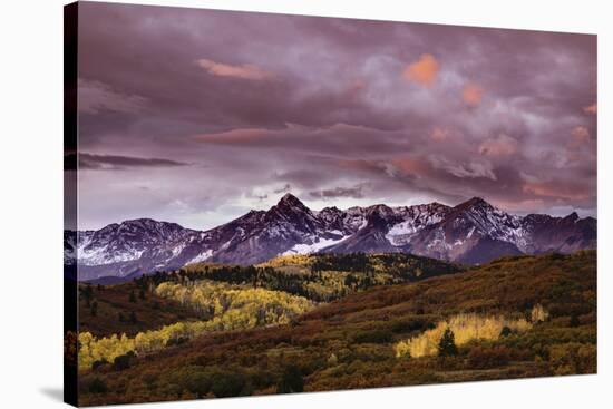 Autumn, aspen trees and Sneffels Range at sunset, Mount Sneffels Wilderness. Colorado-Adam Jones-Stretched Canvas