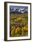 Autumn aspen trees and Sneffels Range, Mount Sneffels Wilderness, Colorado-Adam Jones-Framed Photographic Print