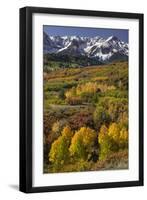 Autumn aspen trees and Sneffels Range, Mount Sneffels Wilderness, Colorado-Adam Jones-Framed Photographic Print