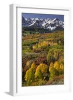 Autumn aspen trees and Sneffels Range, Mount Sneffels Wilderness, Colorado-Adam Jones-Framed Photographic Print