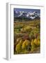 Autumn aspen trees and Sneffels Range, Mount Sneffels Wilderness, Colorado-Adam Jones-Framed Photographic Print