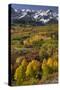 Autumn aspen trees and Sneffels Range, Mount Sneffels Wilderness, Colorado-Adam Jones-Stretched Canvas