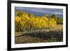 Autumn aspen trees and Sneffels Range, Mount Sneffels Wilderness, Colorado-Adam Jones-Framed Premium Photographic Print