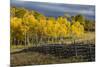 Autumn aspen trees and Sneffels Range, Mount Sneffels Wilderness, Colorado-Adam Jones-Mounted Premium Photographic Print