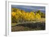 Autumn aspen trees and Sneffels Range, Mount Sneffels Wilderness, Colorado-Adam Jones-Framed Photographic Print