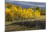 Autumn aspen trees and Sneffels Range, Mount Sneffels Wilderness, Colorado-Adam Jones-Mounted Photographic Print