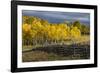 Autumn aspen trees and Sneffels Range, Mount Sneffels Wilderness, Colorado-Adam Jones-Framed Photographic Print