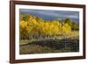 Autumn aspen trees and Sneffels Range, Mount Sneffels Wilderness, Colorado-Adam Jones-Framed Photographic Print