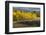 Autumn aspen trees and Sneffels Range, Mount Sneffels Wilderness, Colorado-Adam Jones-Framed Photographic Print