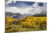 Autumn aspen trees and Sneffels Range, Mount Sneffels Wilderness, Colorado-Adam Jones-Mounted Premium Photographic Print