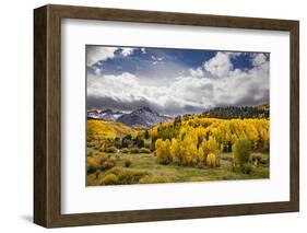 Autumn aspen trees and Sneffels Range, Mount Sneffels Wilderness, Colorado-Adam Jones-Framed Photographic Print