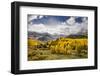 Autumn aspen trees and Sneffels Range, Mount Sneffels Wilderness, Colorado-Adam Jones-Framed Photographic Print